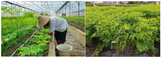 1762487016732485.png image.png