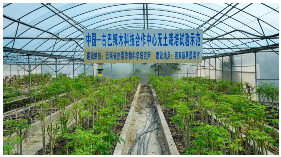 1762487040378380.png image.png