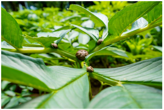 1763085672624371.png image.png